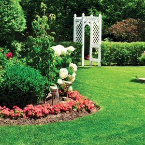Lawn & Garden