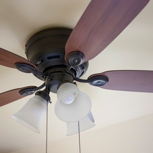 Lighting & Ceiling Fans