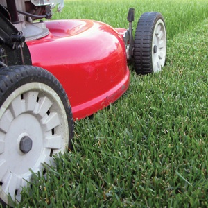 Outdoor Power Equipment